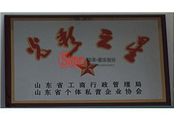 光彩之星