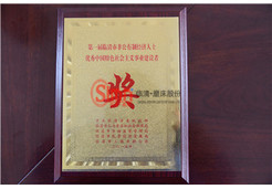 建設(shè)者獎